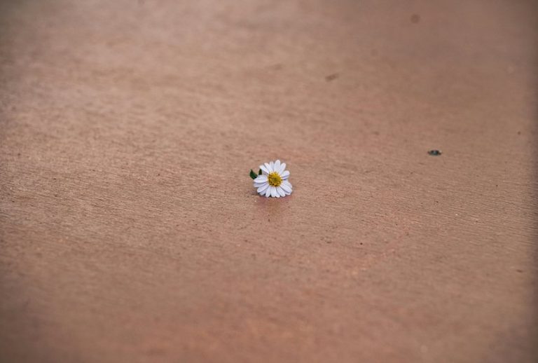 viral instagram caption ideas